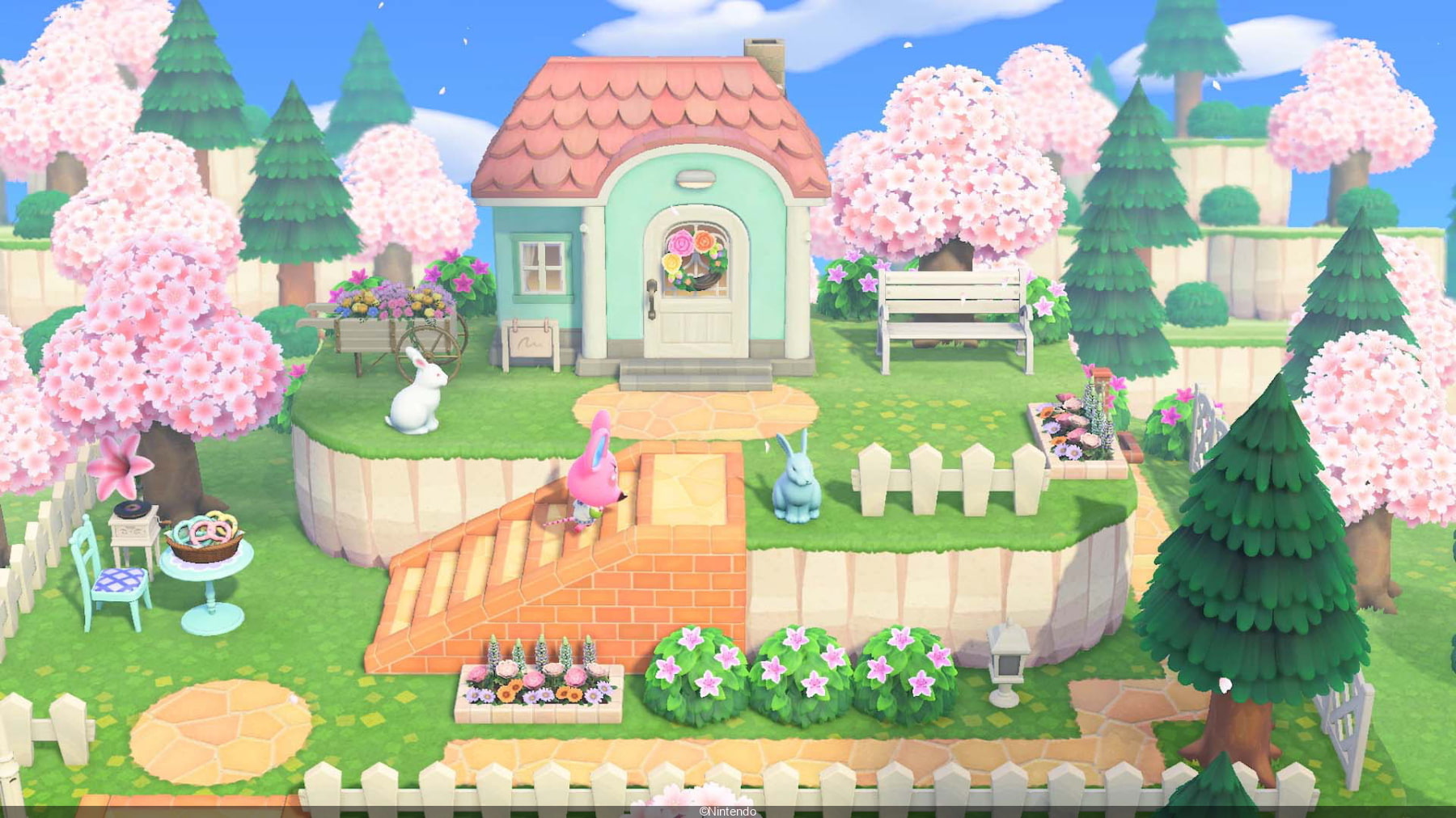 image du jeu animal crossing new horizons